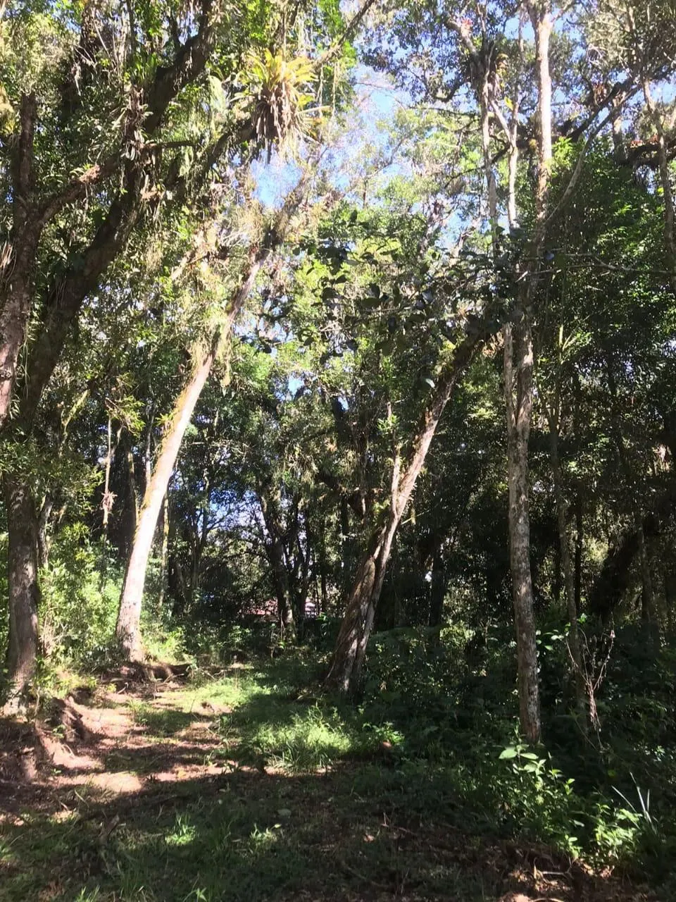 Country home for sale of 7 acres in Tijucas do Sul, PR, Brazil