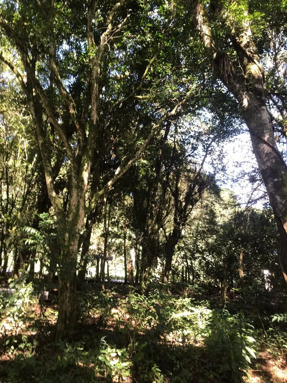 Country home for sale of 7 acres in Tijucas do Sul, PR, Brazil