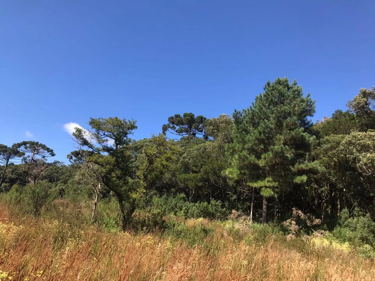 Country home for sale of 7 acres in Tijucas do Sul, PR, Brazil