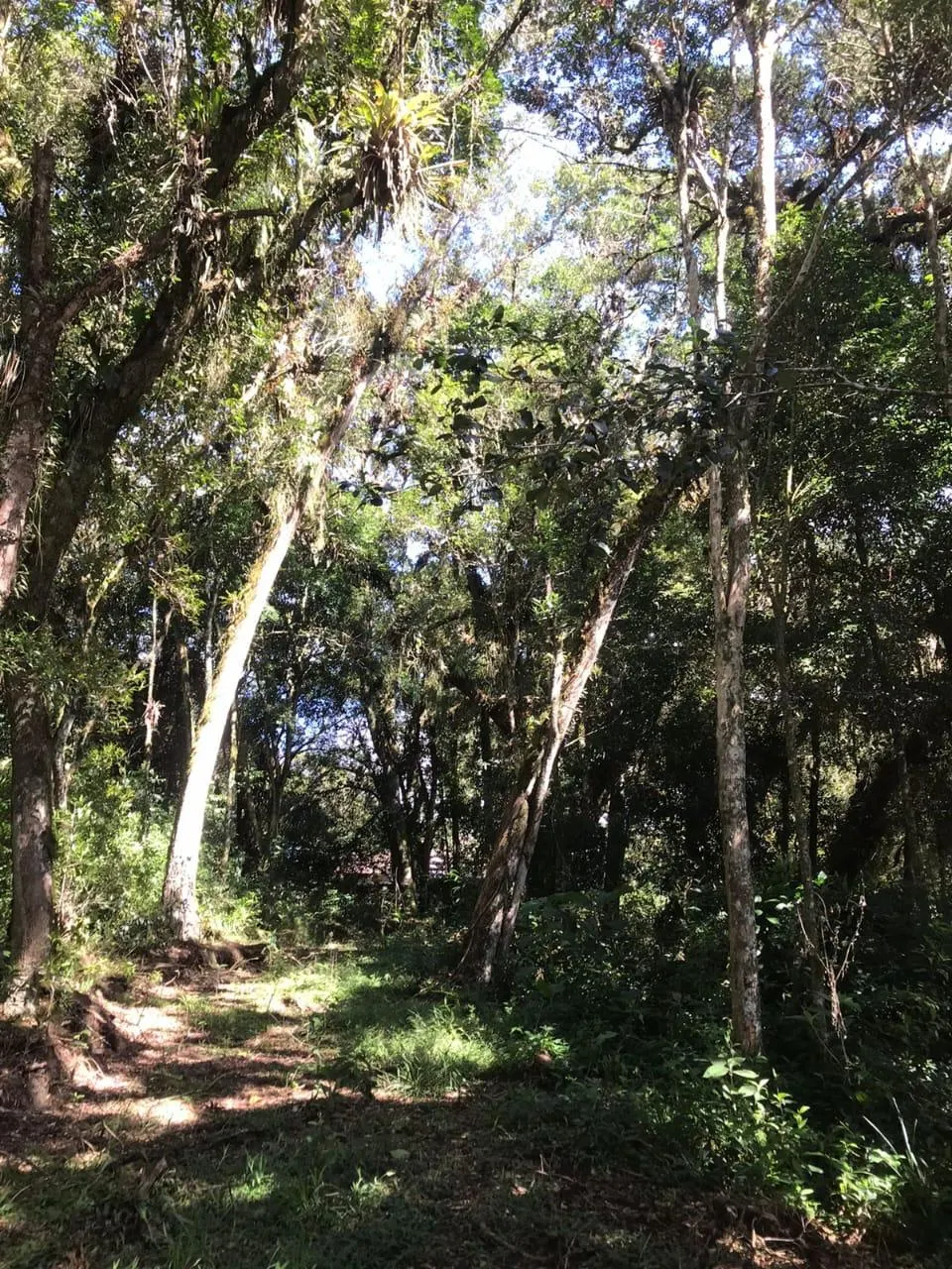 Country home for sale of 7 acres in Tijucas do Sul, PR, Brazil