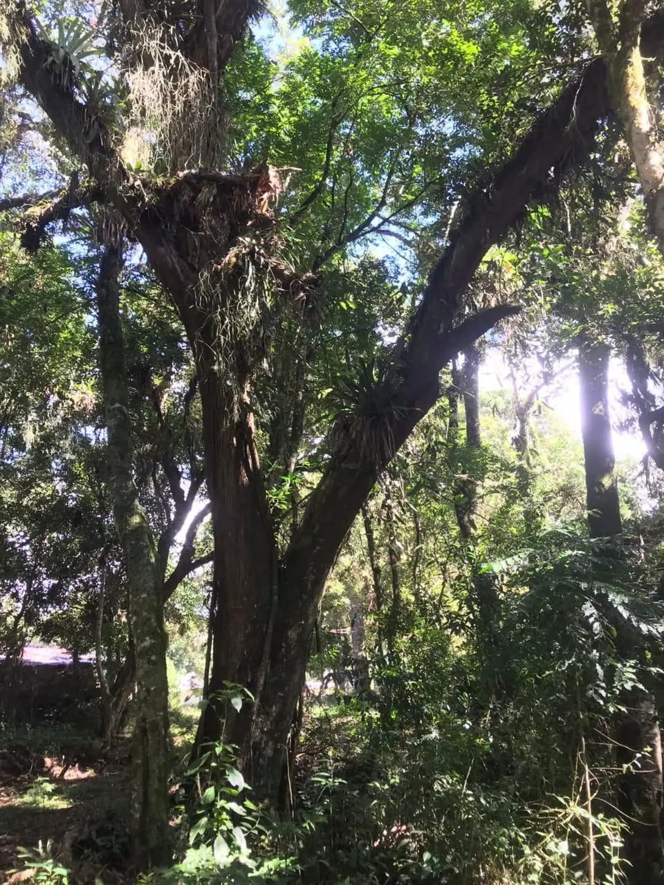 Country home for sale of 7 acres in Tijucas do Sul, PR, Brazil
