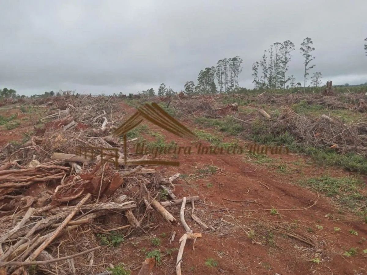 Fazenda à venda de 237 ha em Pilar do Sul, SP, Brasil