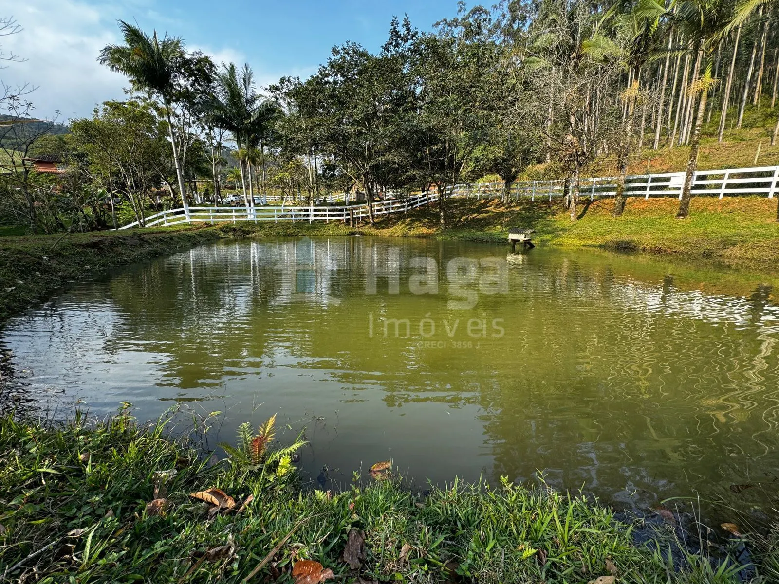 Terreno à venda de 8.044 m² em Canelinha, SC, Brasil