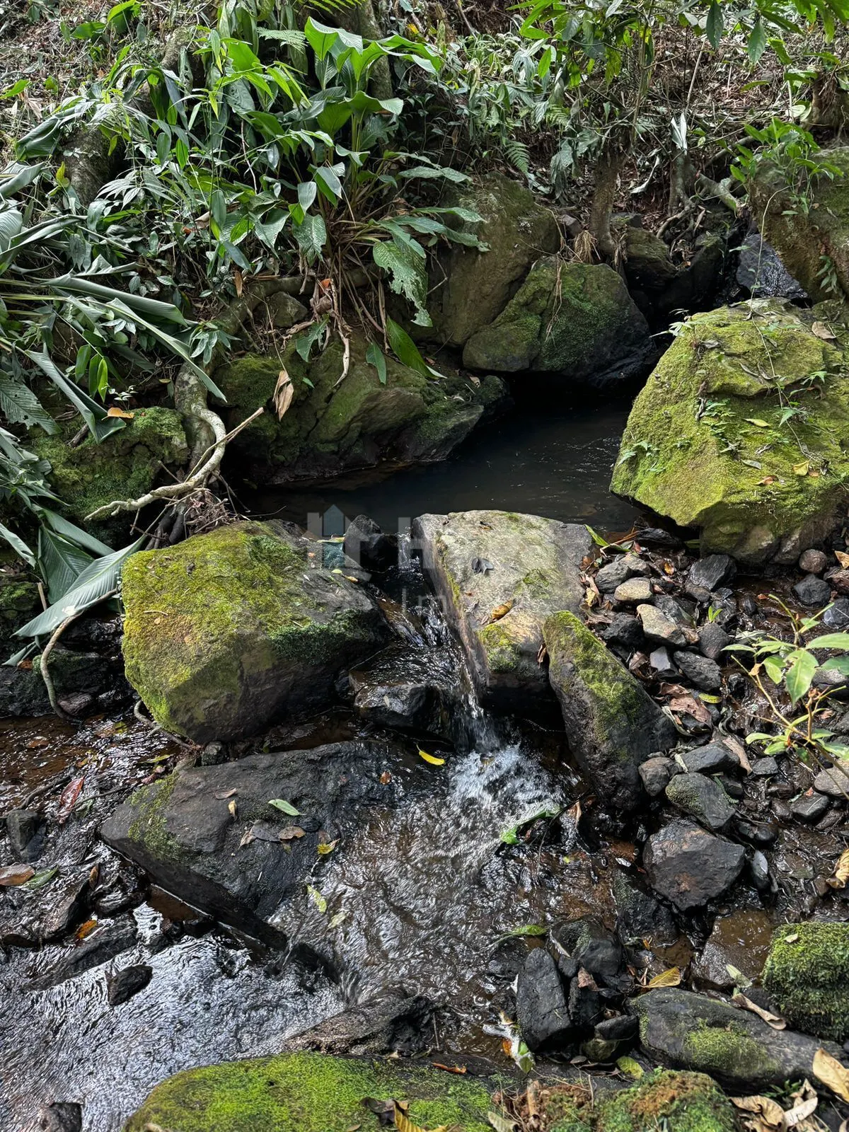Terreno à venda de 8.044 m² em Canelinha, SC, Brasil