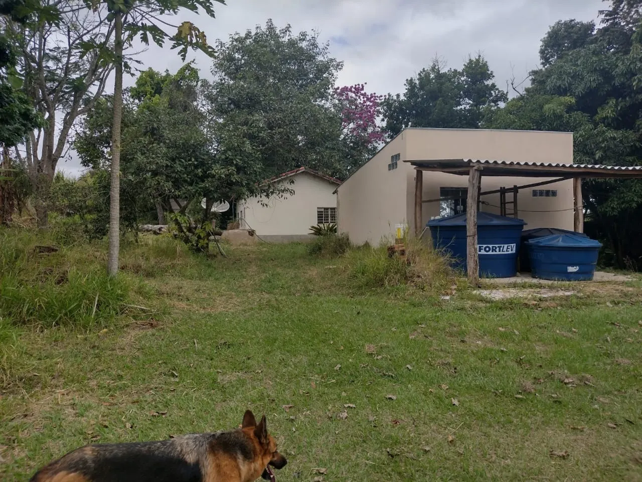 Small farm for sale of 27 acres in Itapetininga, SP, Brazil