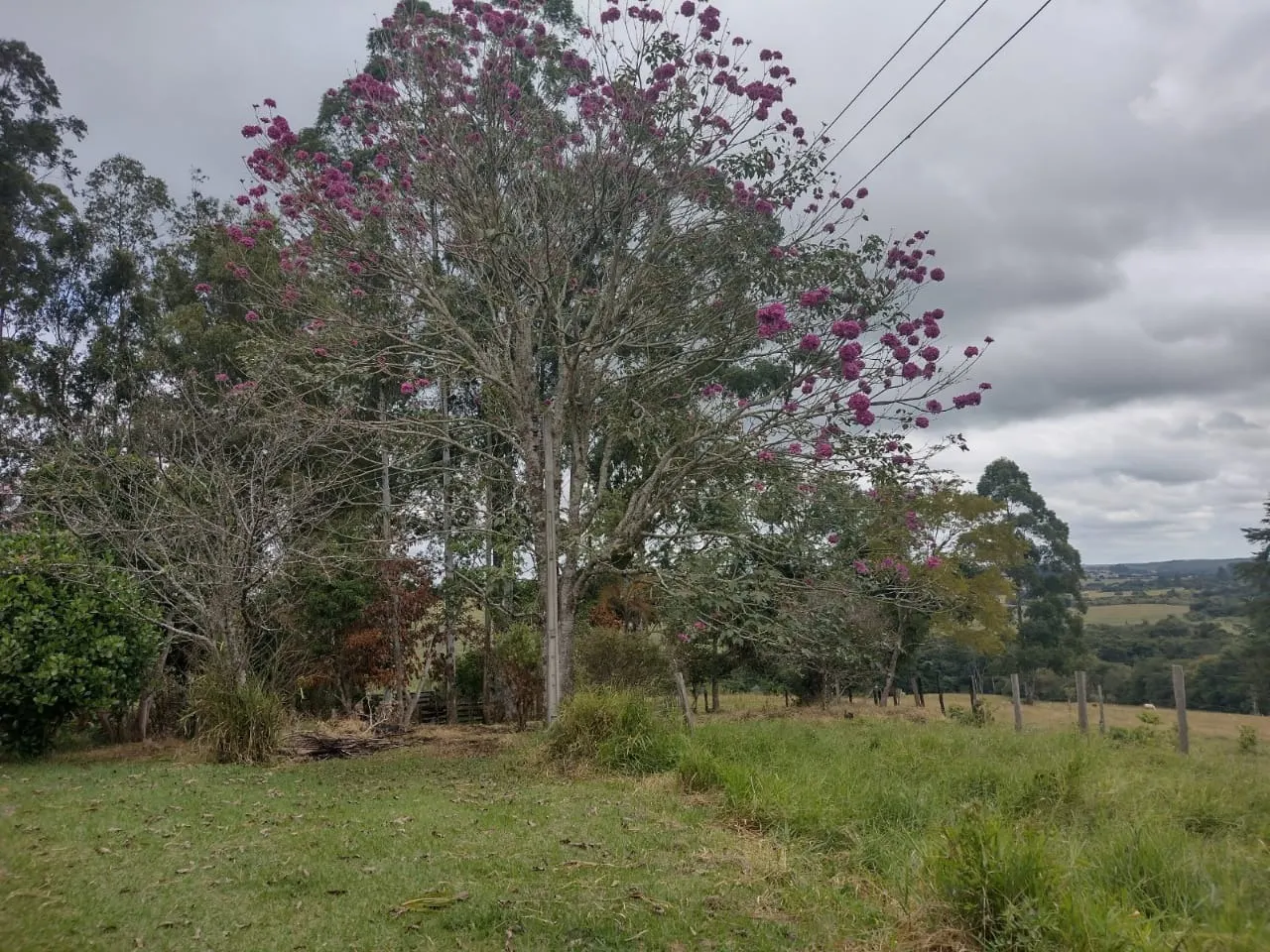 Small farm for sale of 27 acres in Itapetininga, SP, Brazil