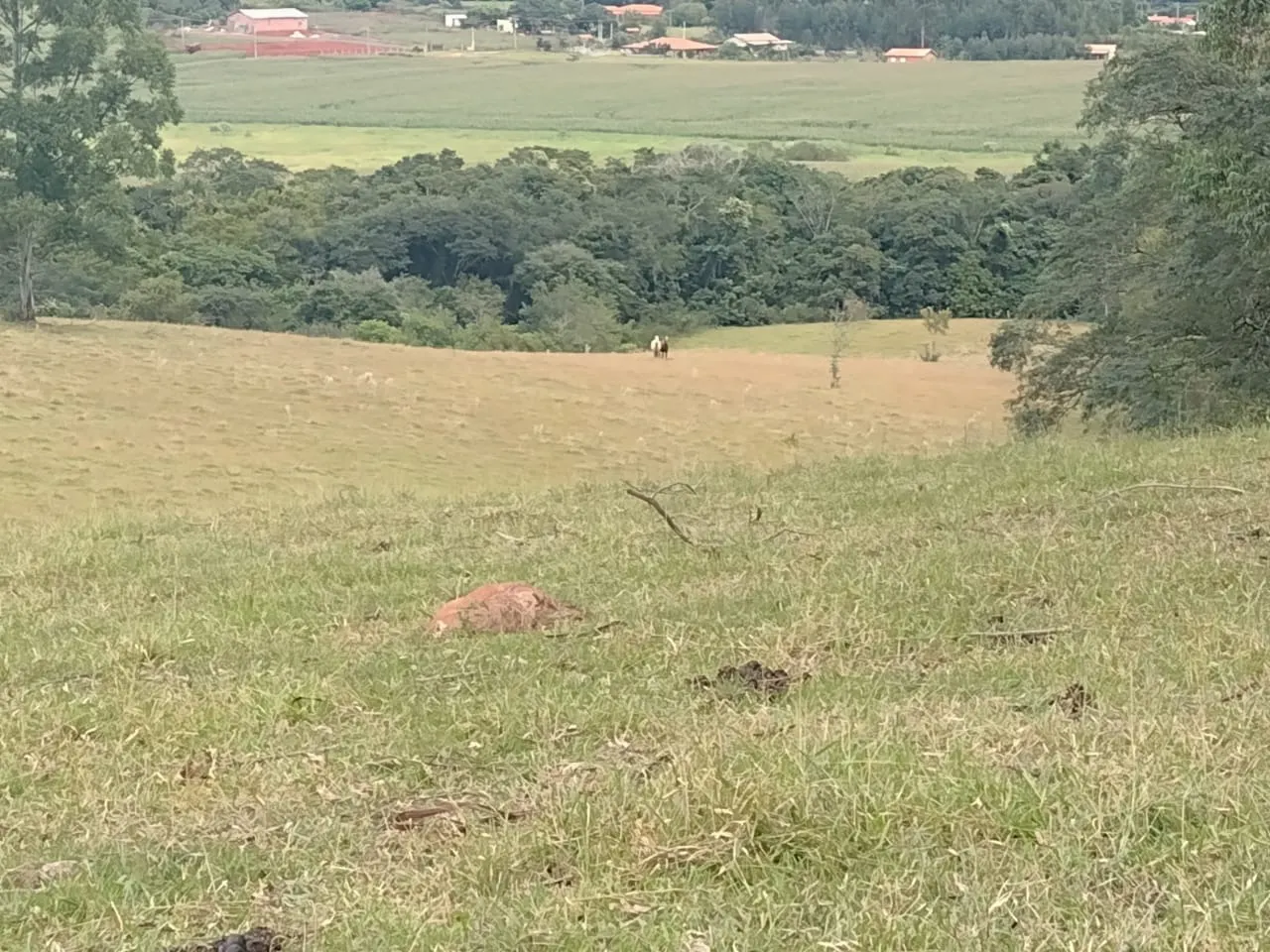 Small farm for sale of 27 acres in Itapetininga, SP, Brazil