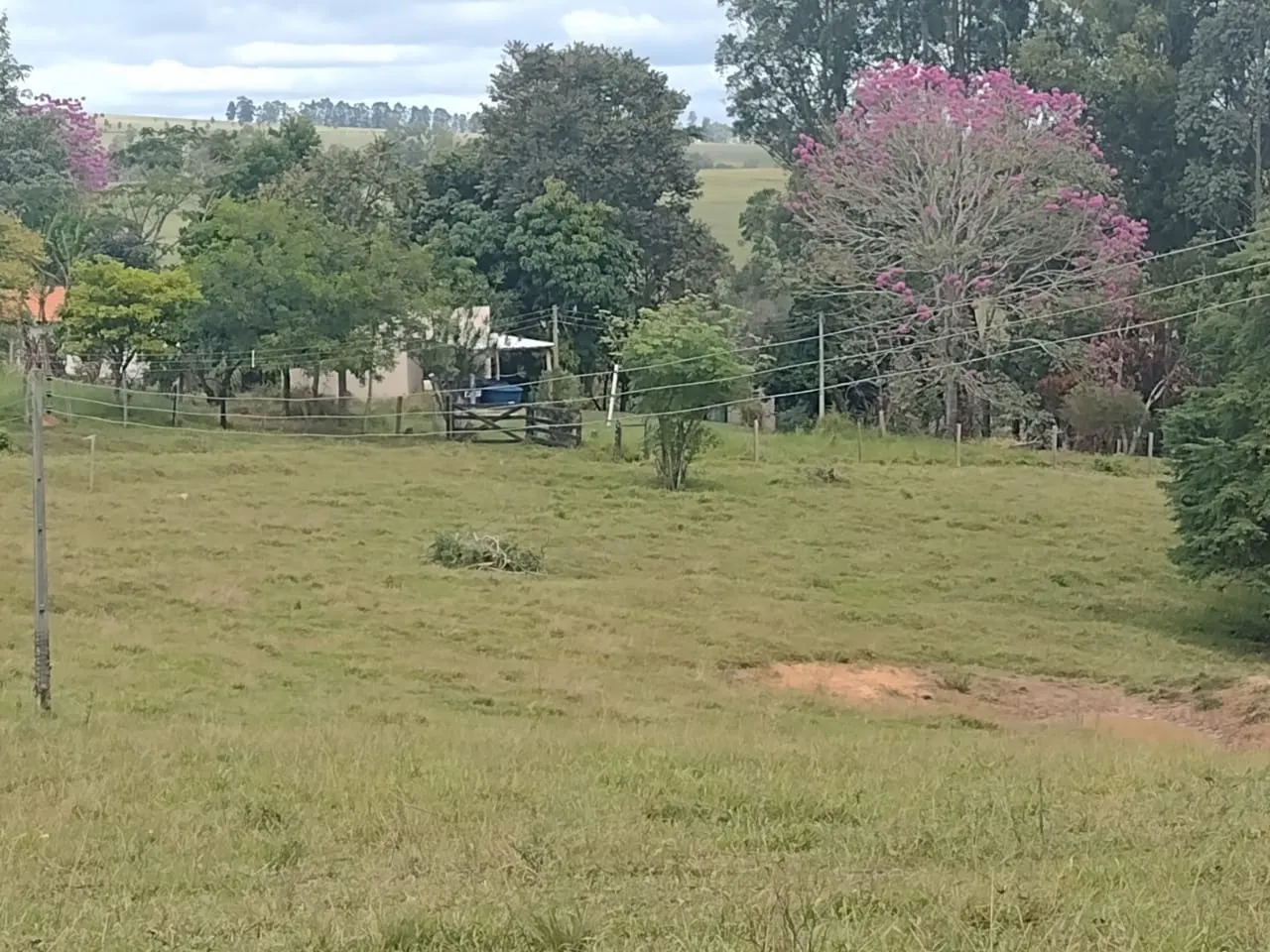 Small farm for sale of 27 acres in Itapetininga, SP, Brazil