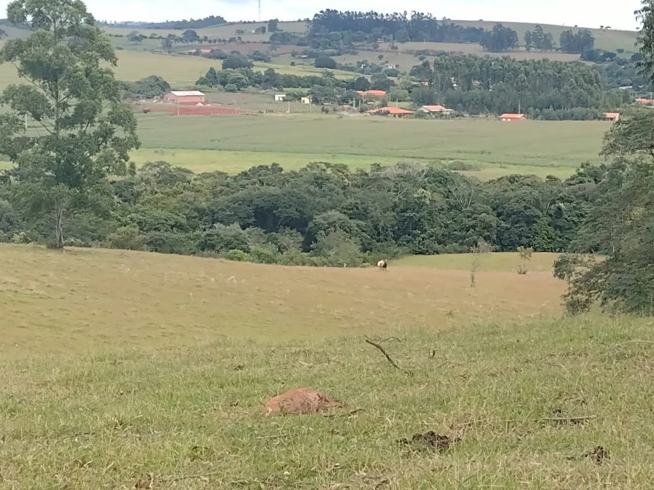 Small farm for sale of 27 acres in Itapetininga, SP, Brazil