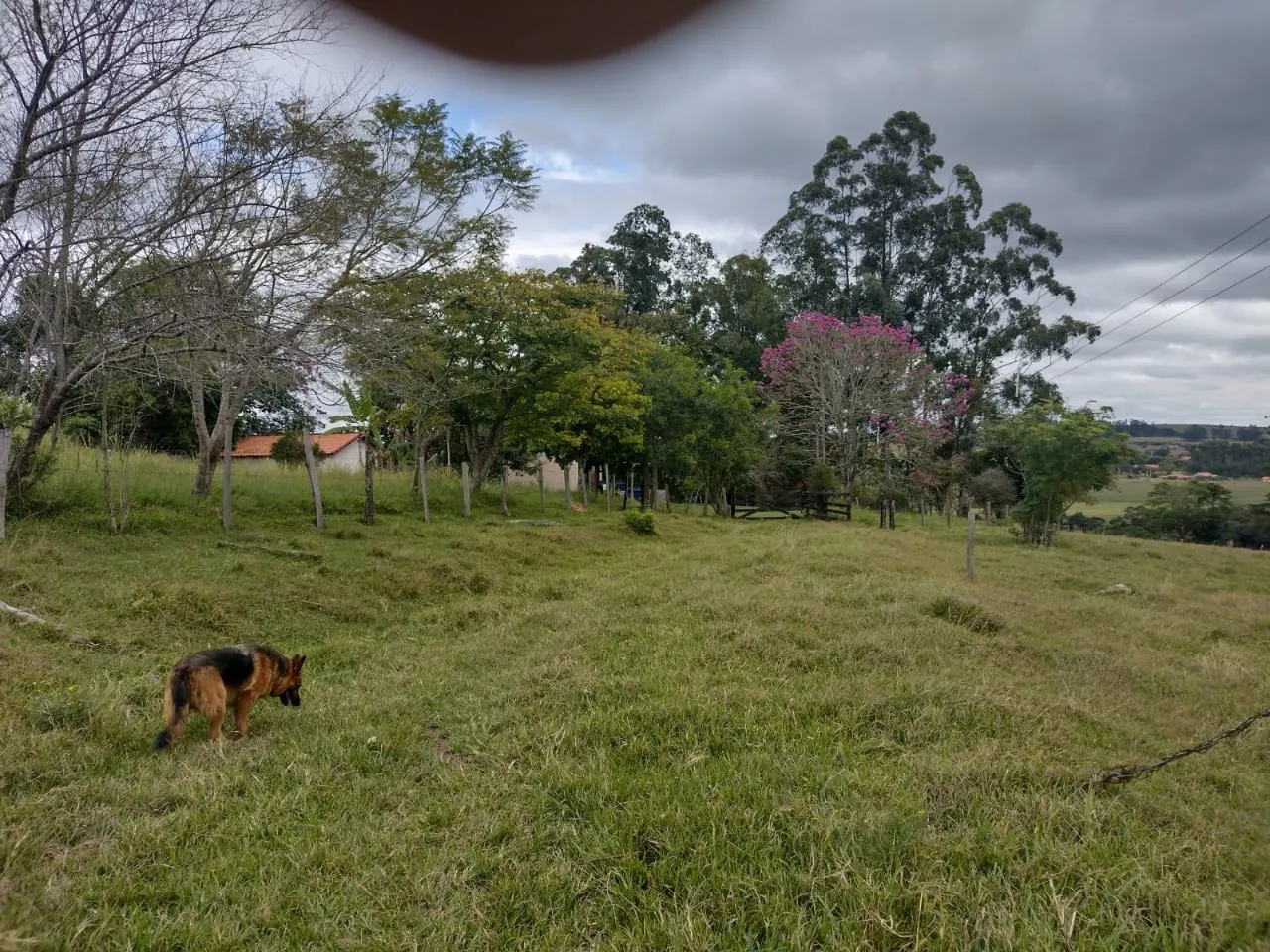 Small farm for sale of 27 acres in Itapetininga, SP, Brazil