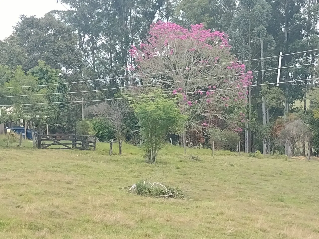 Small farm for sale of 27 acres in Itapetininga, SP, Brazil