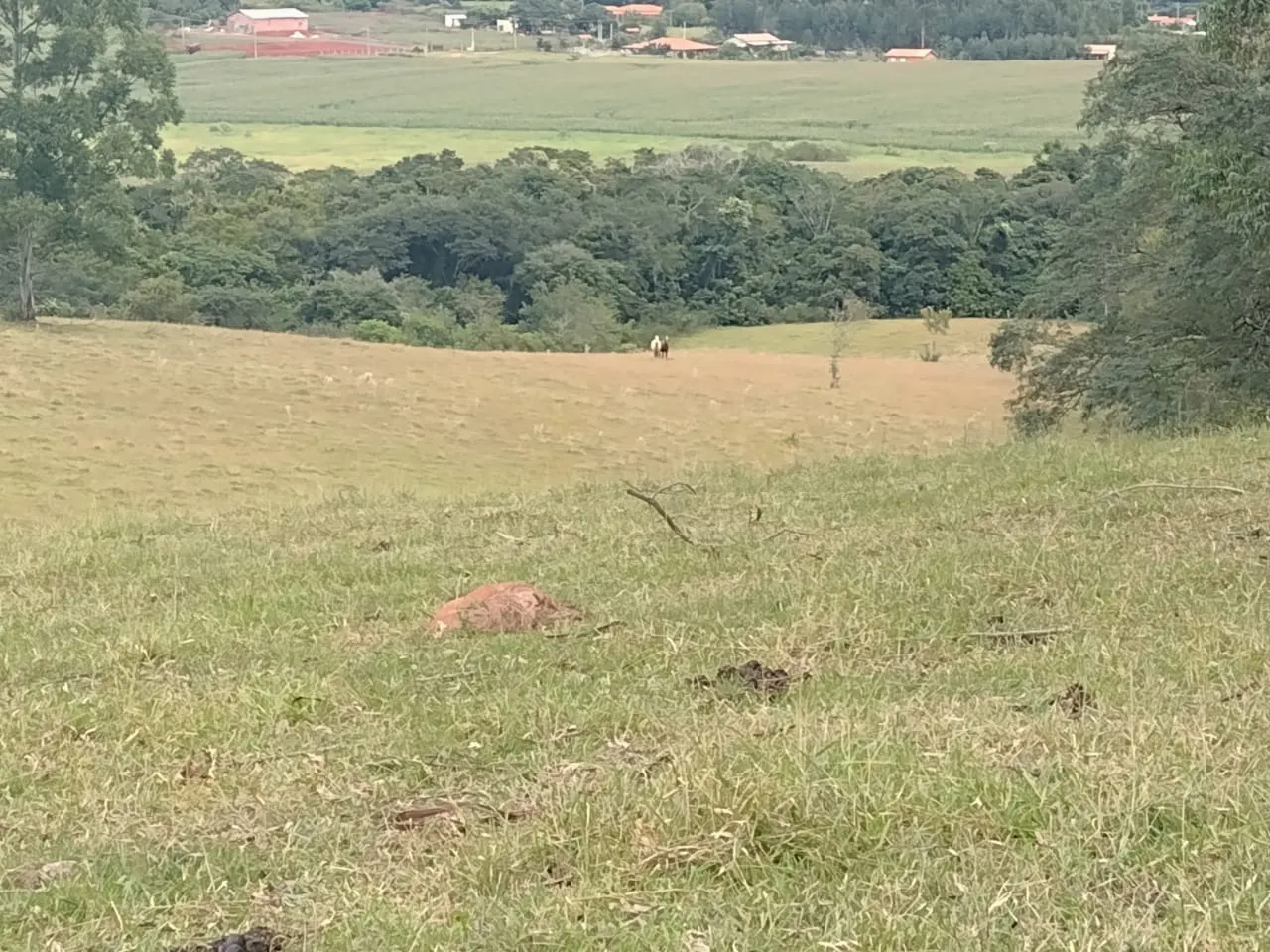 Small farm for sale of 27 acres in Itapetininga, SP, Brazil