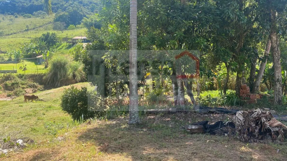 Small farm for sale of 30 acres in Taubaté, SP, Brazil