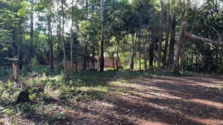 Chácara à venda de 1.050 m² em Caraá, RS, Brasil