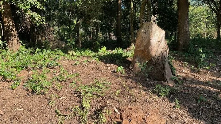 Chácara à venda de 1.050 m² em Caraá, RS, Brasil