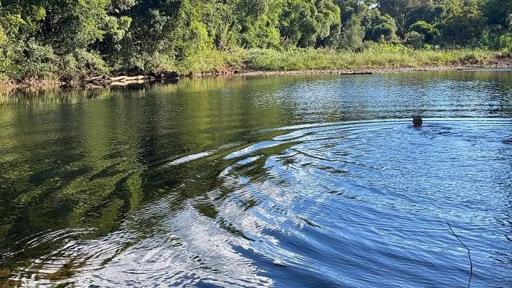 Chácara à venda de 1.050 m² em Caraá, RS, Brasil
