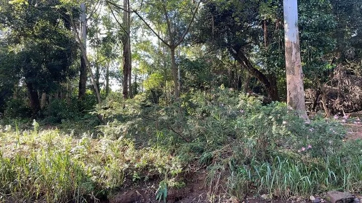 Chácara à venda de 1.050 m² em Caraá, RS, Brasil