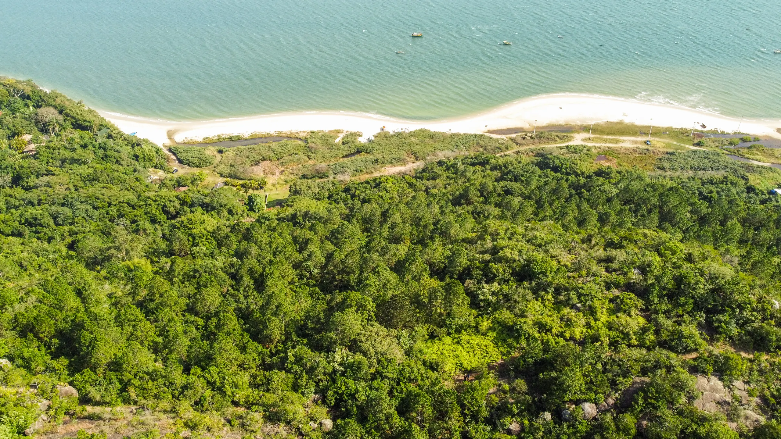 Terreno à venda de 8.000 m² em Florianópolis, SC, Brasil