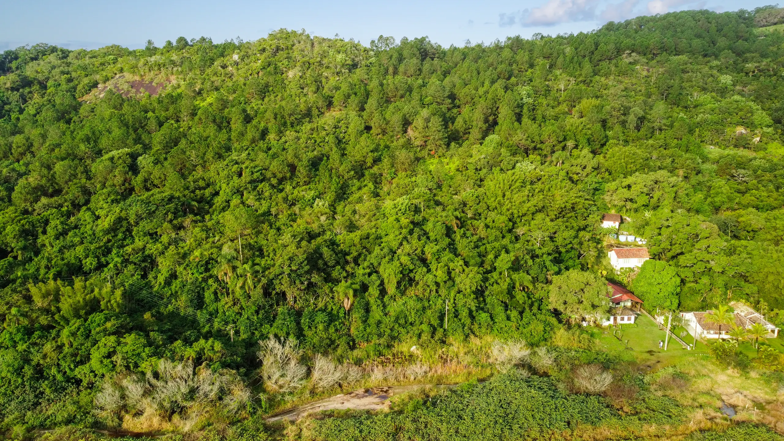 Terreno à venda de 8.000 m² em Florianópolis, SC, Brasil
