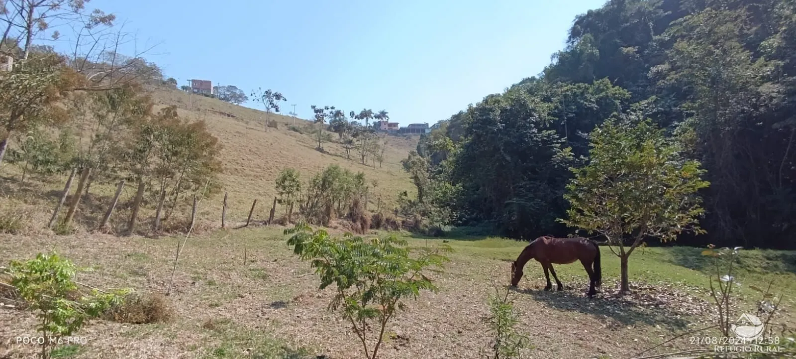 Chácara à venda de 3 ha em Igaratá, SP, Brasil