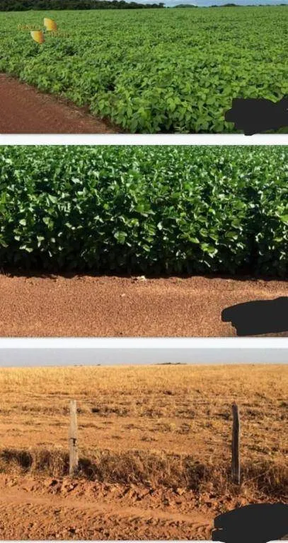 Fazenda à venda de 39.000 ha em Confresa, MT, Brasil