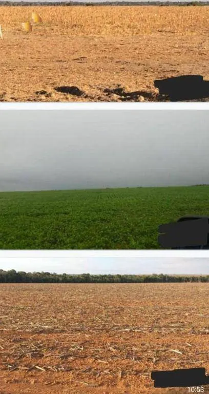 Fazenda à venda de 39.000 ha em Confresa, MT, Brasil