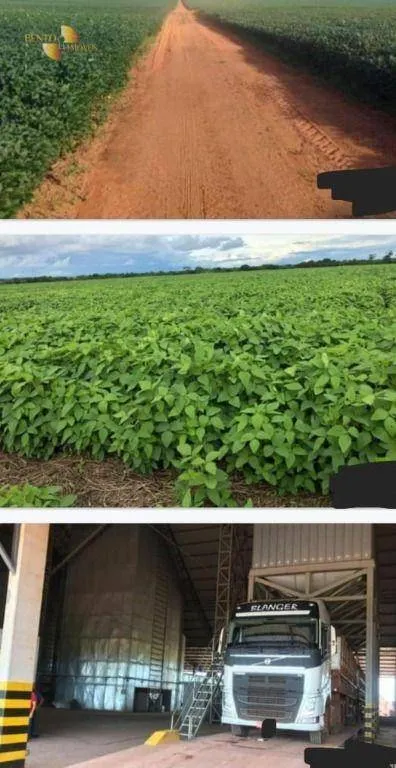 Fazenda à venda de 39.000 ha em Confresa, MT, Brasil