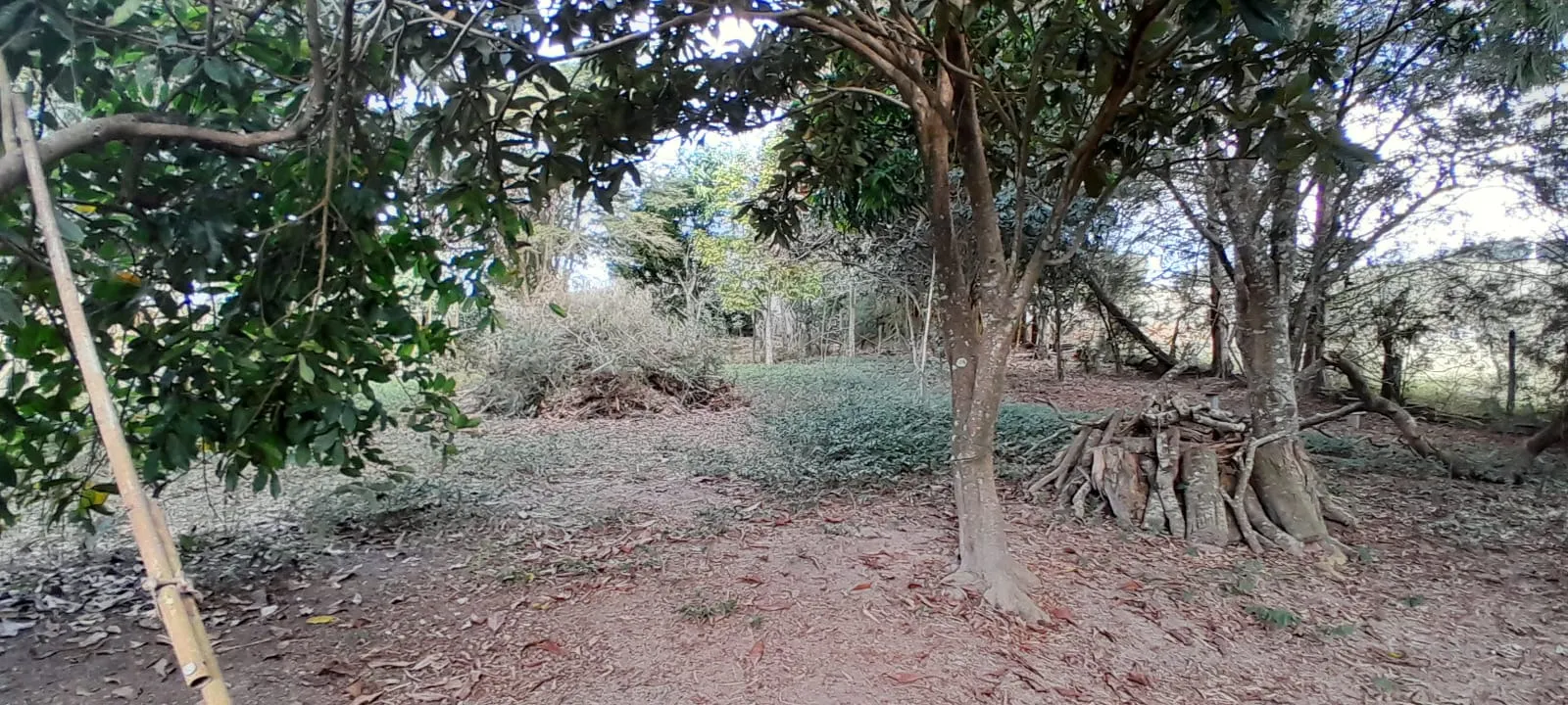 Chácara à venda de 3.990 m² em Paraibuna, SP, Brasil