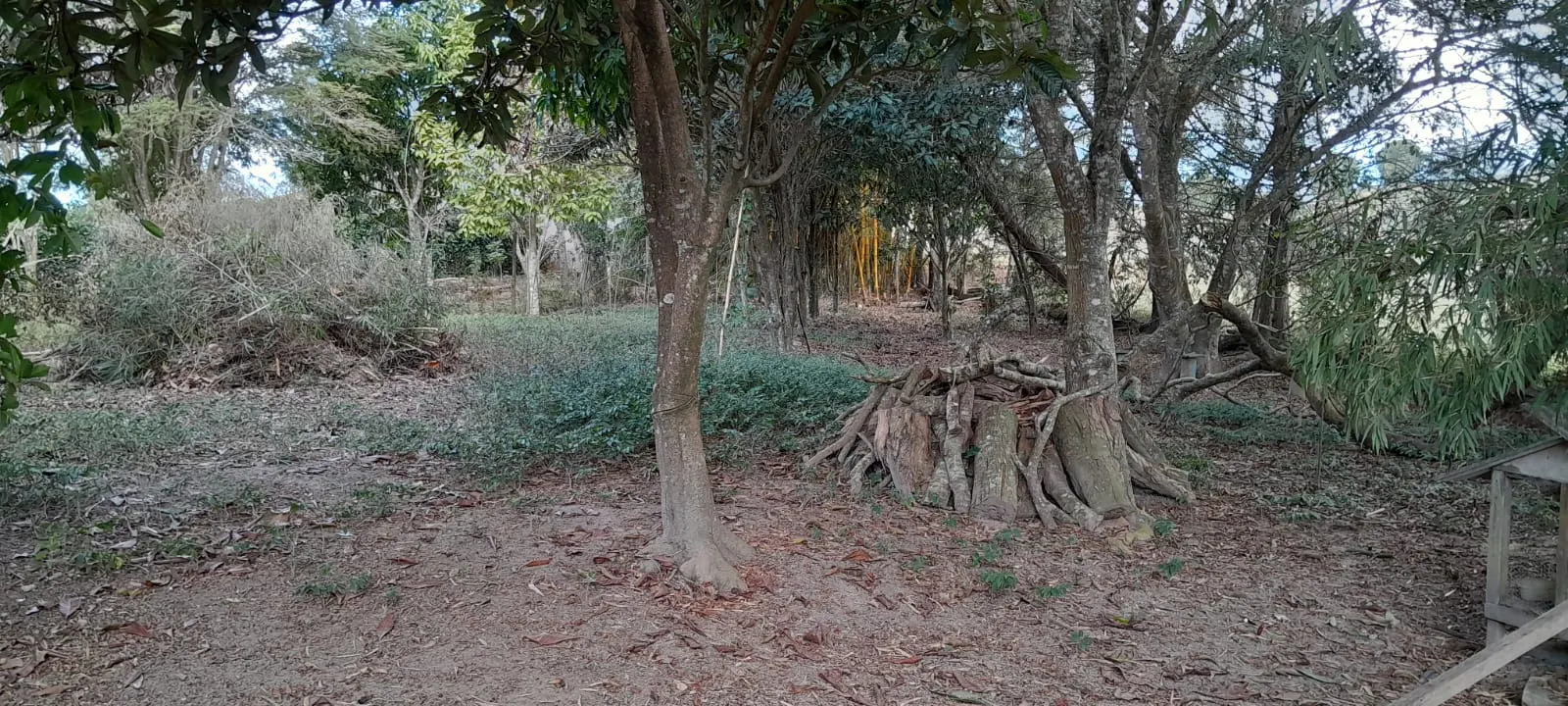 Chácara à venda de 3.990 m² em Paraibuna, SP, Brasil