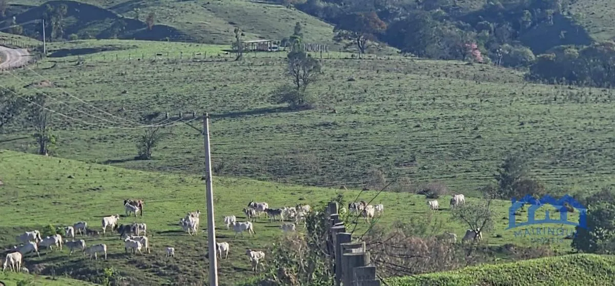 Small farm for sale of 120 acres in Sorocaba, SP, Brazil