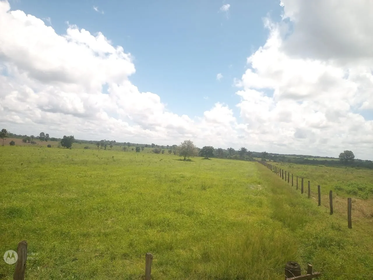 Fazenda à venda de 525 ha em São Domingos do Capim, PA, Brasil