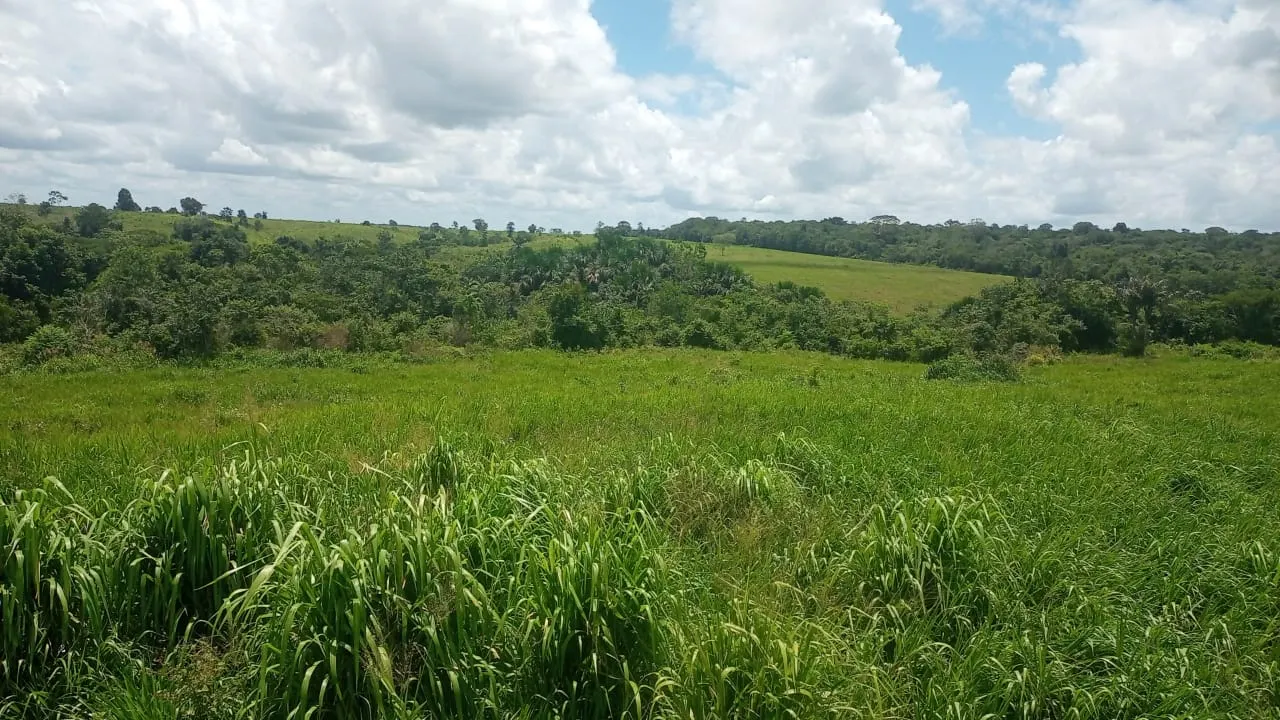 Fazenda à venda de 525 ha em São Domingos do Capim, PA, Brasil