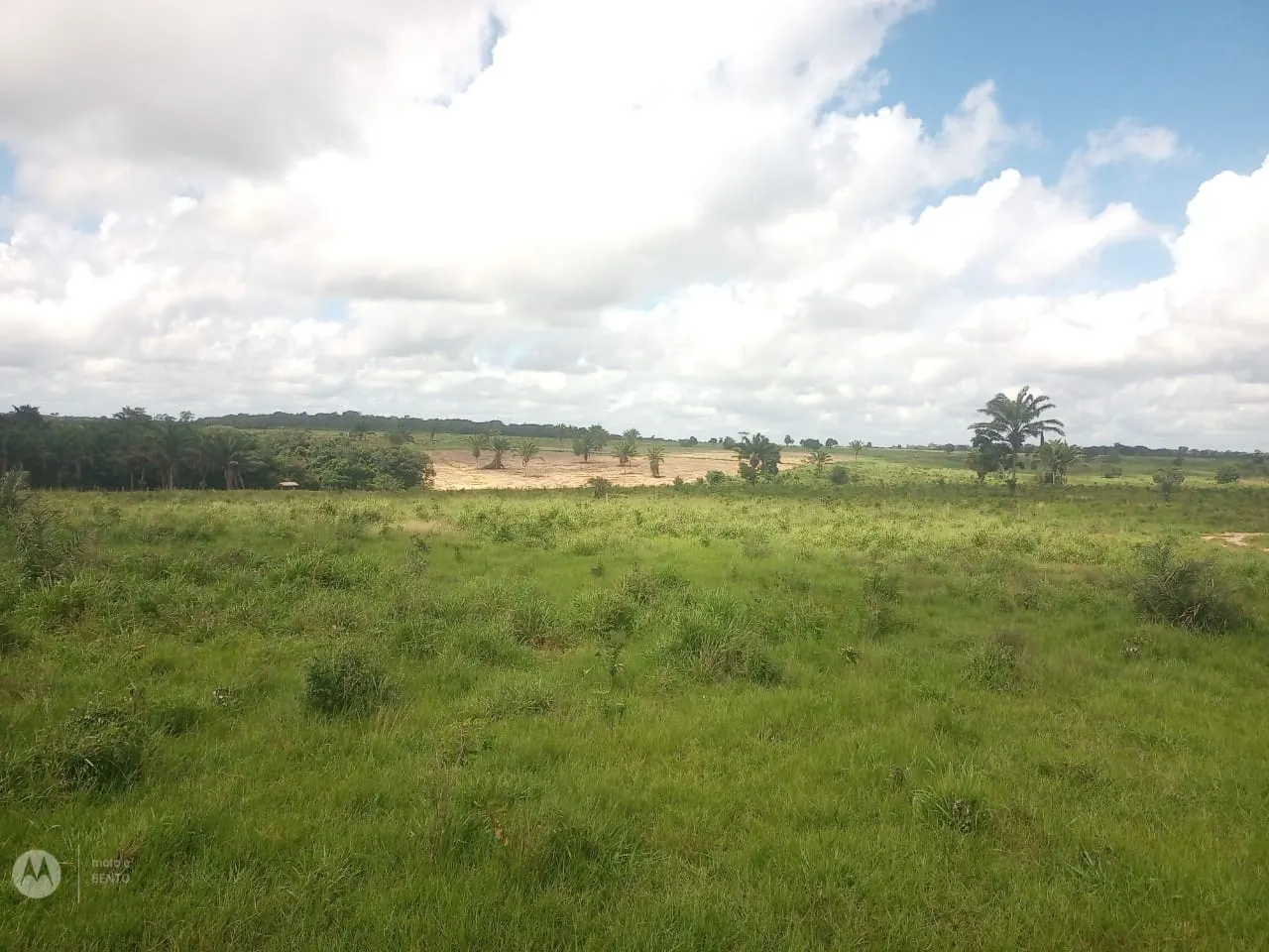 Fazenda à venda de 525 ha em São Domingos do Capim, PA, Brasil