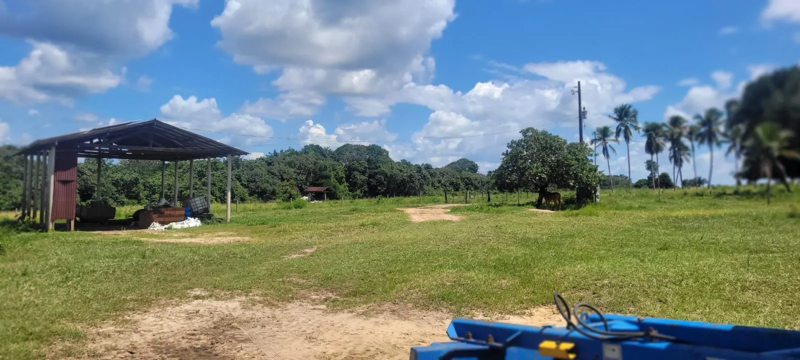 Fazenda à venda de 525 ha em São Domingos do Capim, PA, Brasil