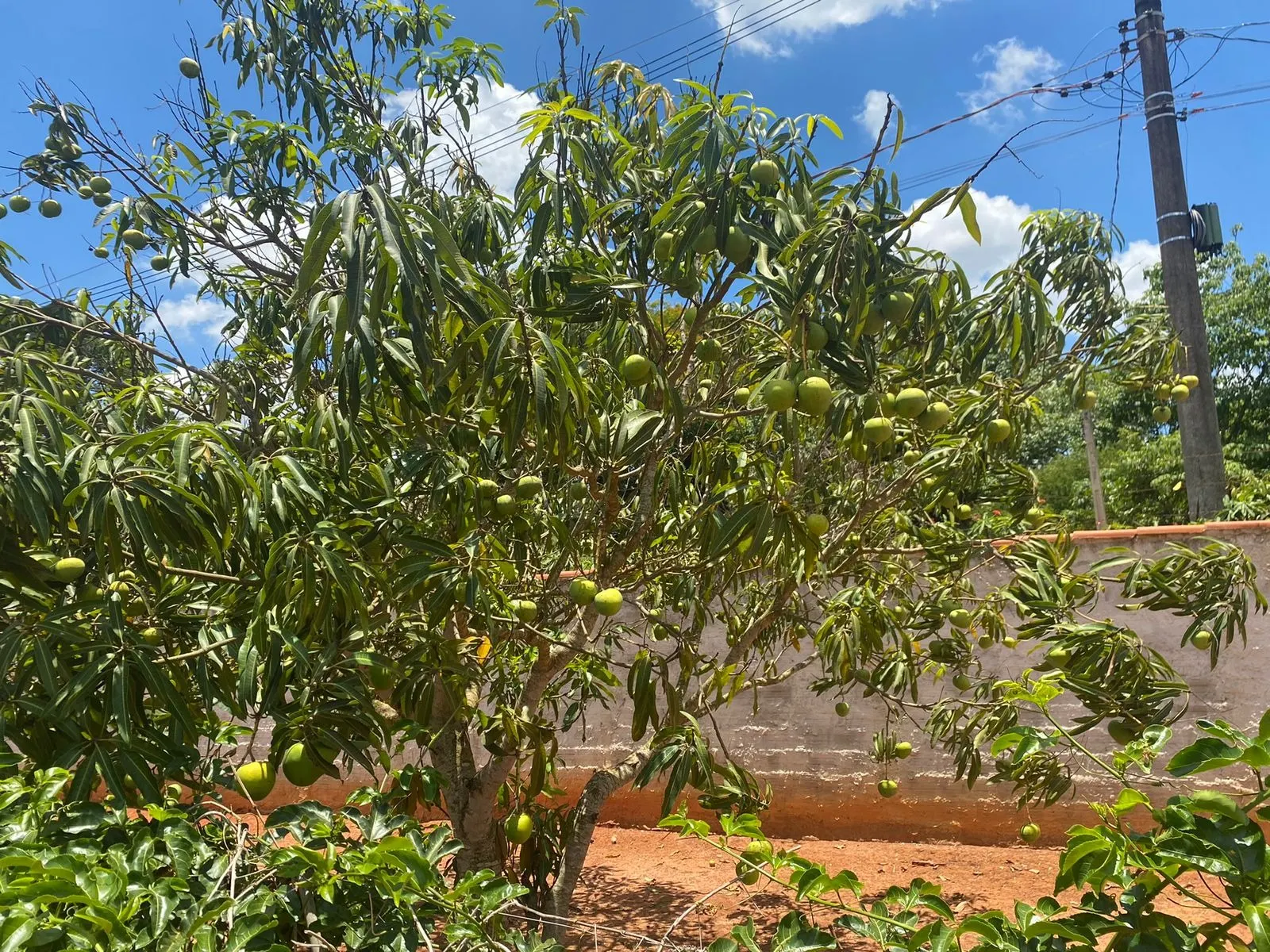 Chácara à venda de 5.000 m² em Tatuí, SP, Brasil