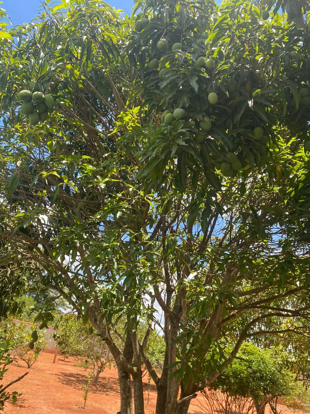 Chácara à venda de 5.000 m² em Tatuí, SP, Brasil