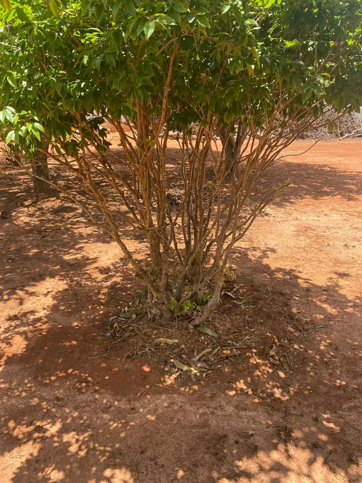 Chácara à venda de 5.000 m² em Tatuí, SP, Brasil