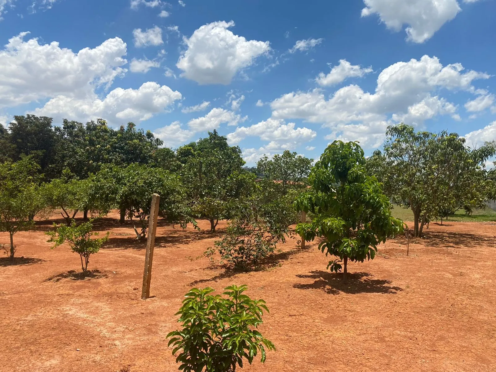Chácara à venda de 5.000 m² em Tatuí, SP, Brasil