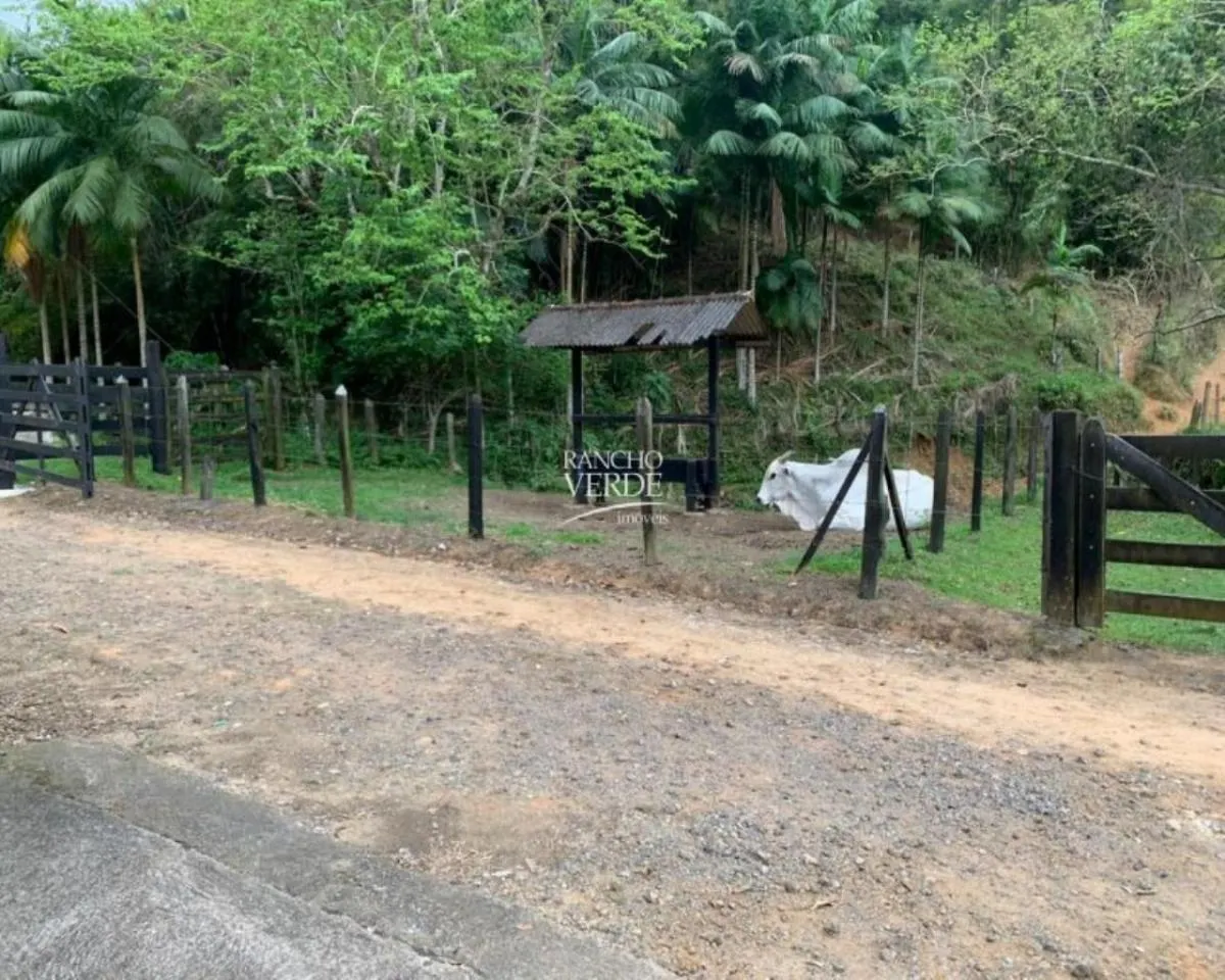Fazenda à venda de 56 ha em Pindamonhangaba, SP, Brasil