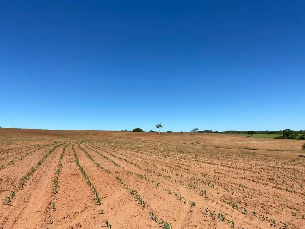 Fazenda à venda de 130 ha em Tupã, SP, Brasil