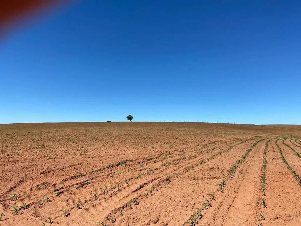 Fazenda à venda de 130 ha em Tupã, SP, Brasil