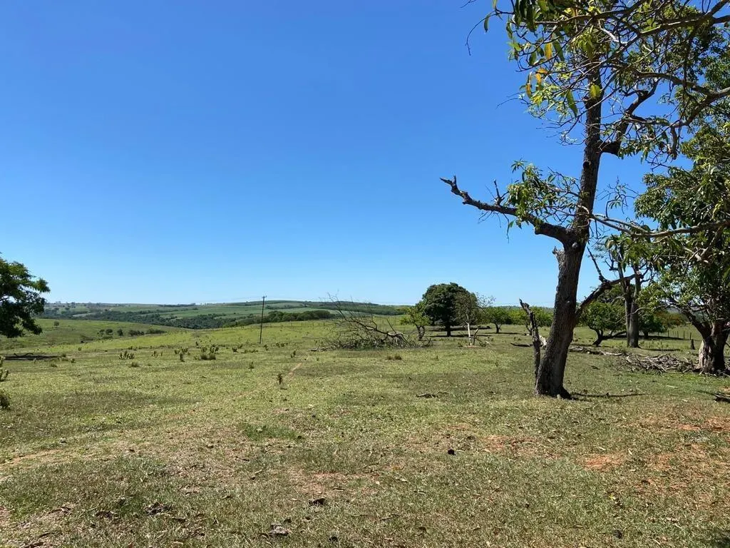 Fazenda à venda de 130 ha em Tupã, SP, Brasil