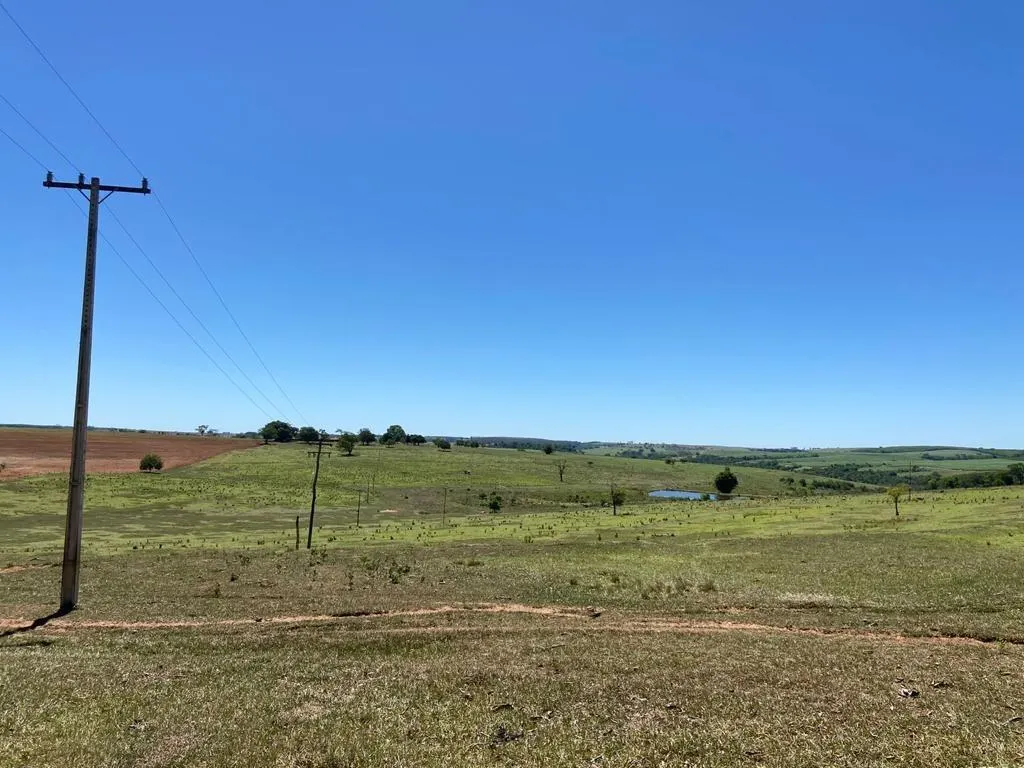 Fazenda à venda de 130 ha em Tupã, SP, Brasil