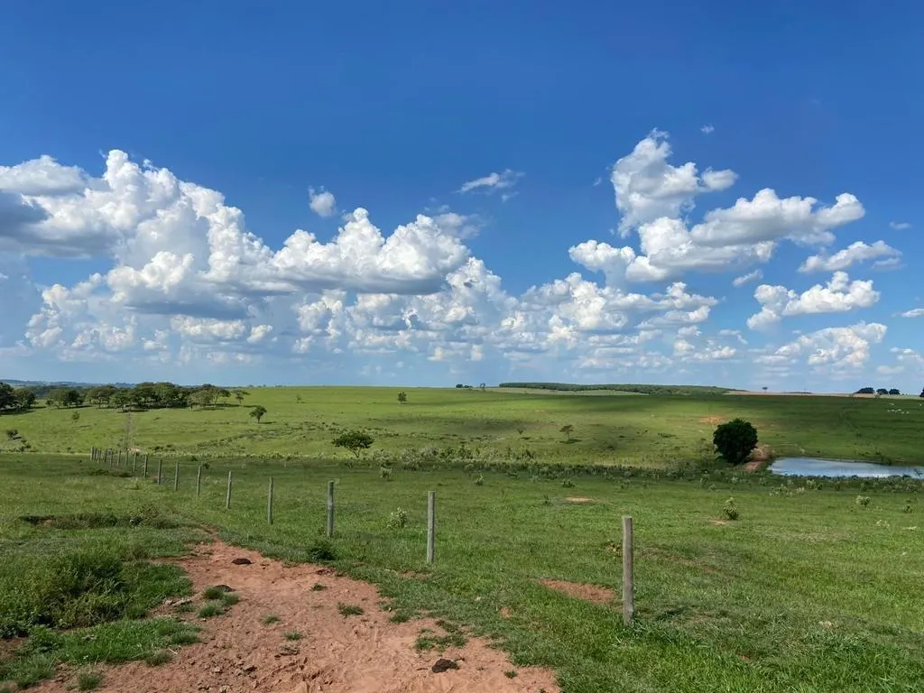 Fazenda à venda de 130 ha em Tupã, SP, Brasil