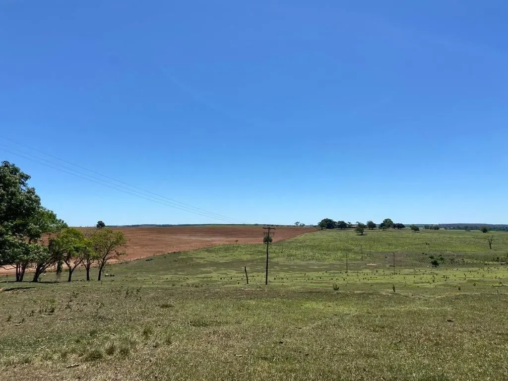 Fazenda à venda de 130 ha em Tupã, SP, Brasil