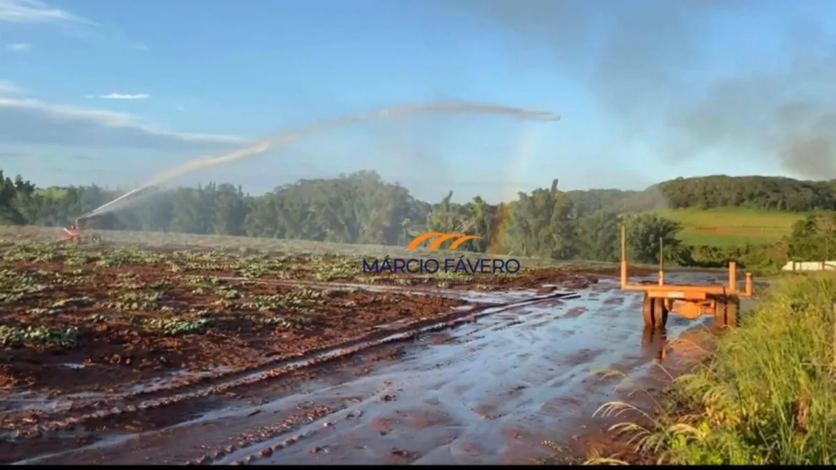 Fazenda à venda de 329 ha em Araraquara, SP, Brasil