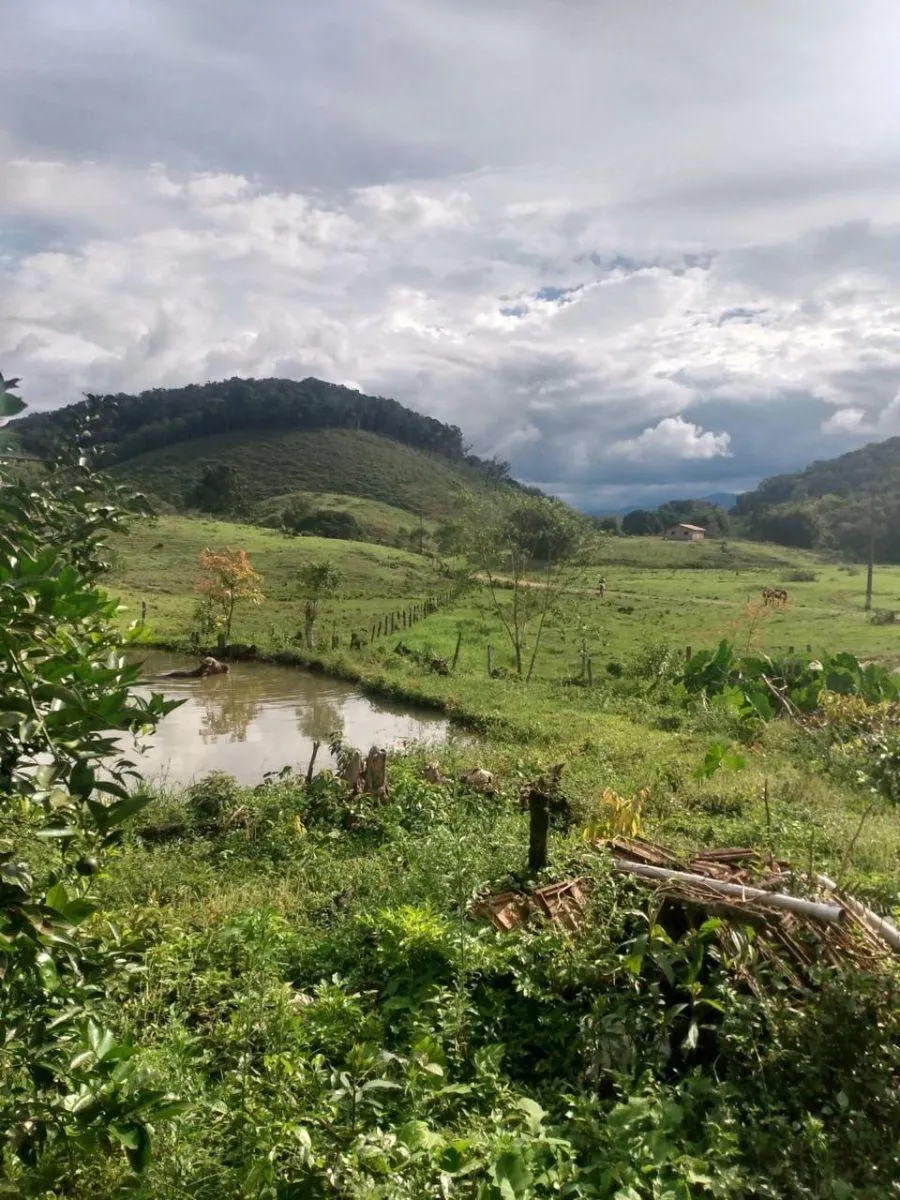 Fazenda à venda de 121 ha em Registro, SP, Brasil