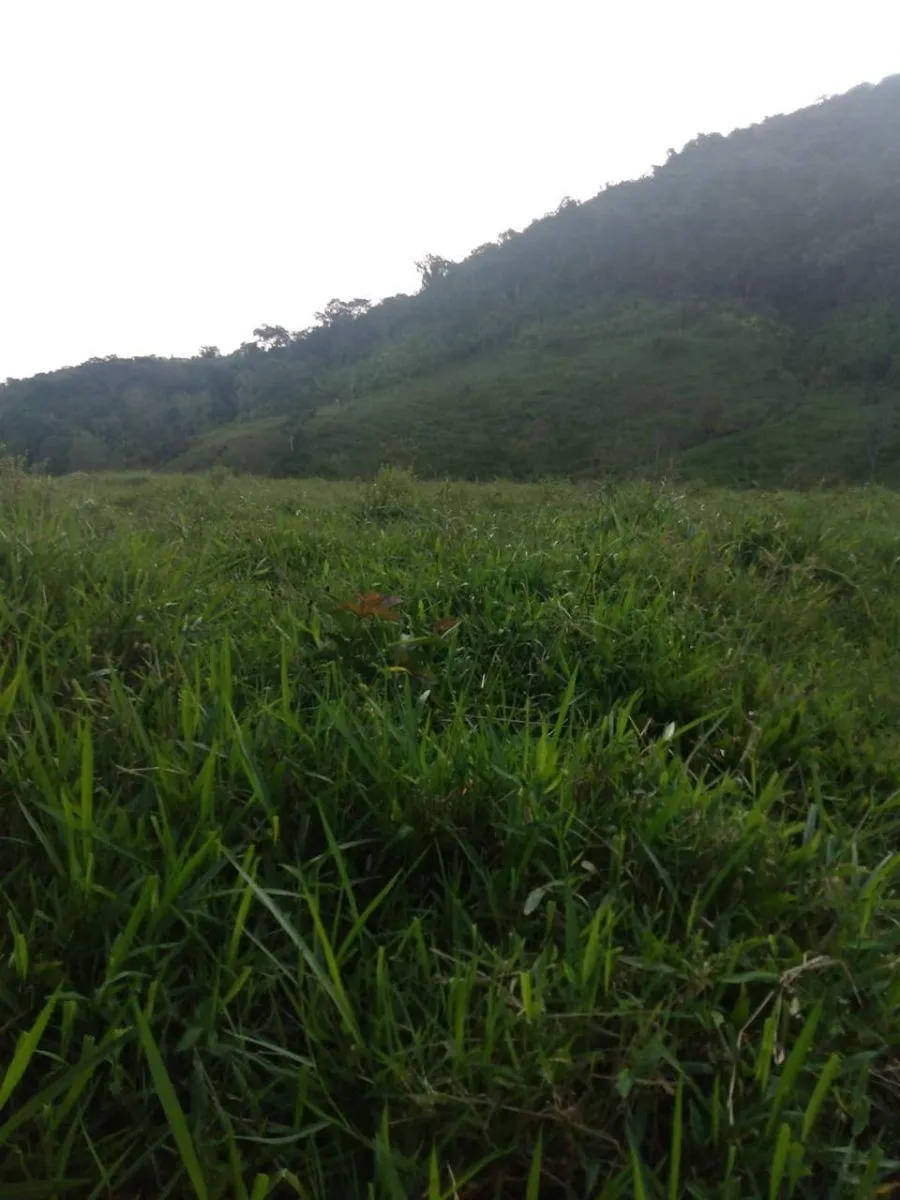 Fazenda à venda de 121 ha em Registro, SP, Brasil