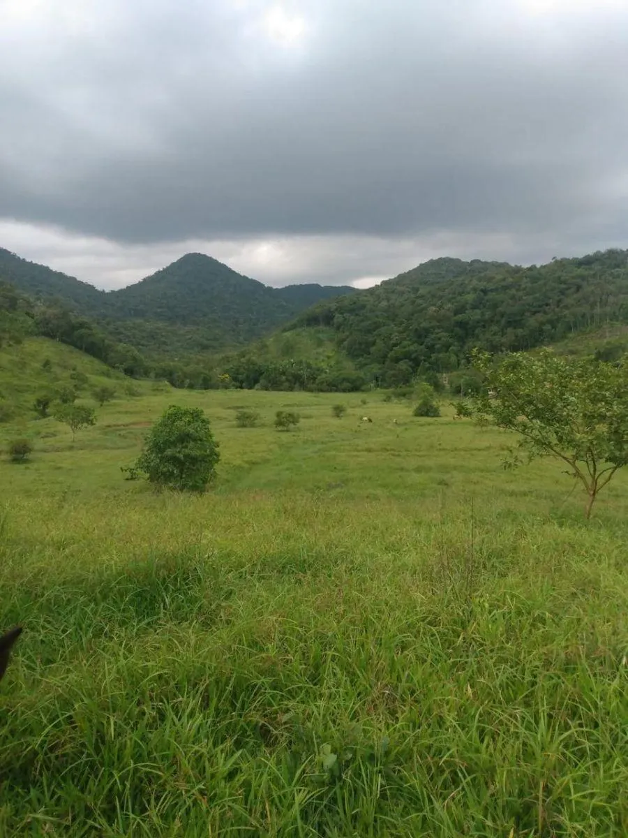 Fazenda à venda de 121 ha em Registro, SP, Brasil