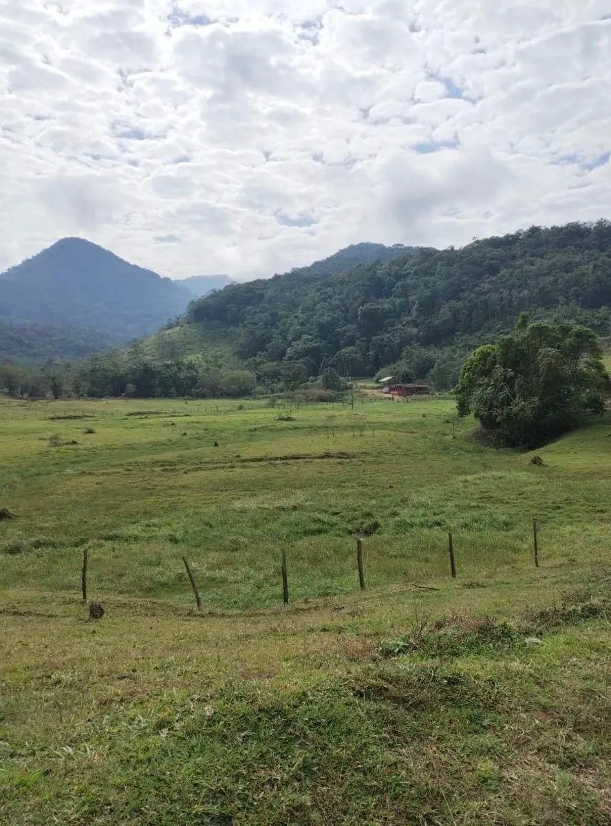 Fazenda à venda de 121 ha em Registro, SP, Brasil